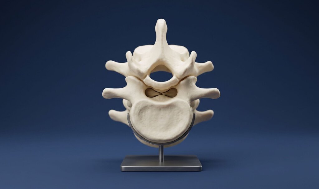Modelo anatômico tridimensional detalhado de um segmento da coluna lombar em fundo azul-escuro, representando de forma limpa a estrutura do canal vertebral.